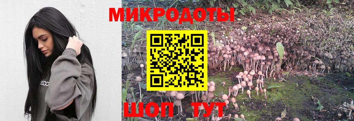 Псилоцибиновые грибы Psilocybe Семёнов