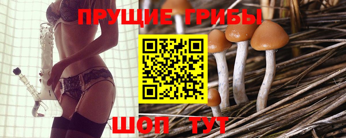 цена наркотик  Псилоцибиновые грибы Psilocybine cubensis  Вход с VPN  Семёнов 