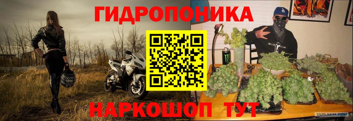 МАРИХУАНА White Widow  Вход с VPN  Семёнов  Шишки марихуана семена  Шишки марихуана индика 